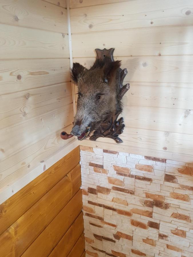 Gniewnik Villa Pcim Eksteriør billede