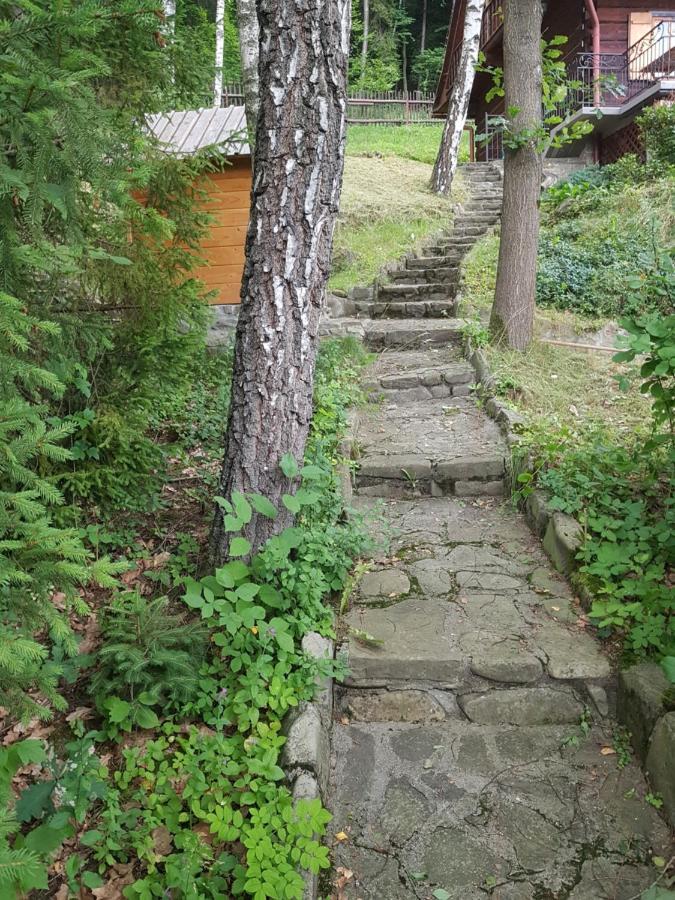 Gniewnik Villa Pcim Eksteriør billede